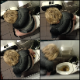 A daring cameraman records girls using toilets in the adjoining stalls of a public restroom while peering down over the walls. Most of these are shitting scenes. Very clear video with good audio. 145MB, MP4 file. About 31.5 minutes.